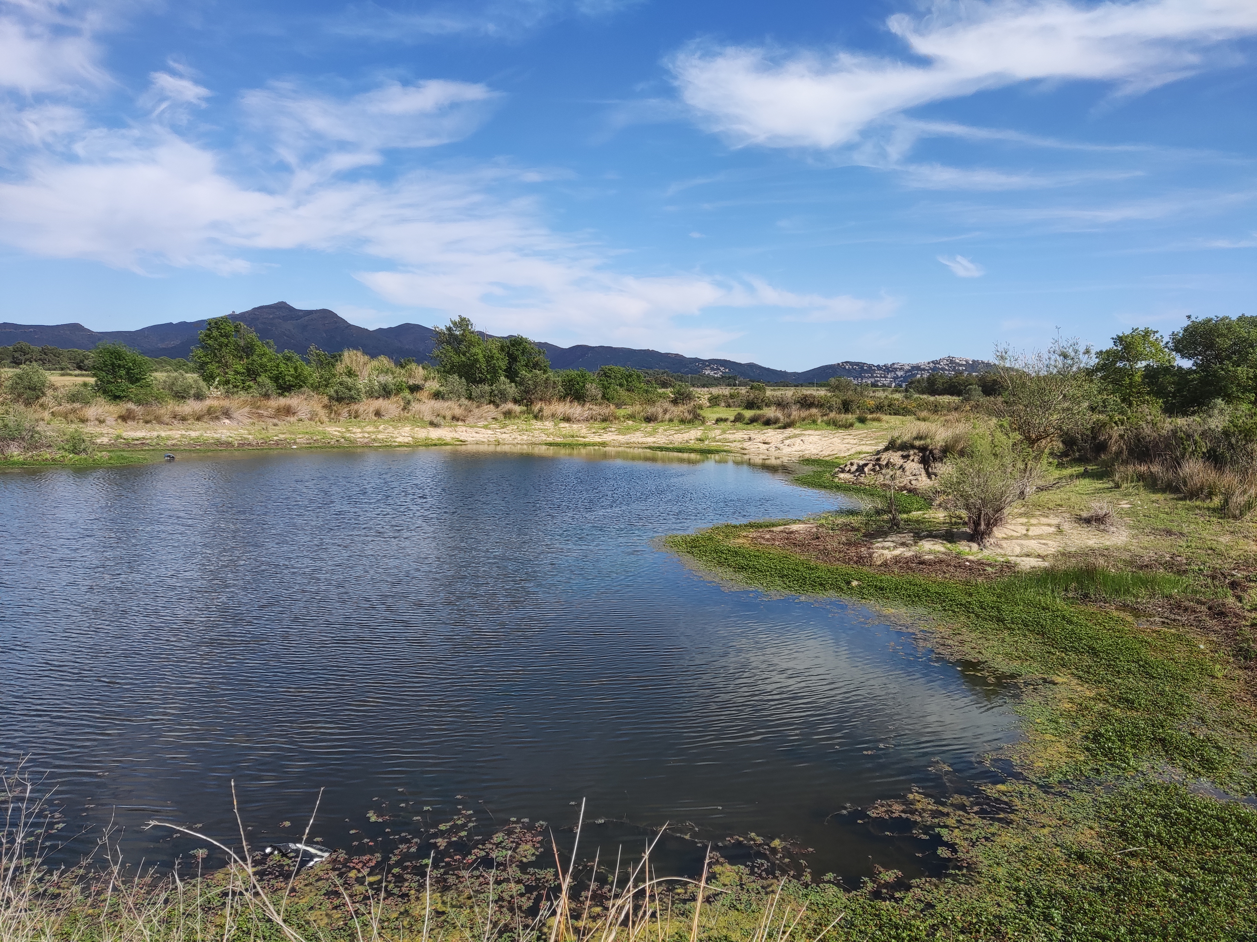 🚲 Passeig guiat amb bici als Aigumolls de l'Empordà 🌳🐦