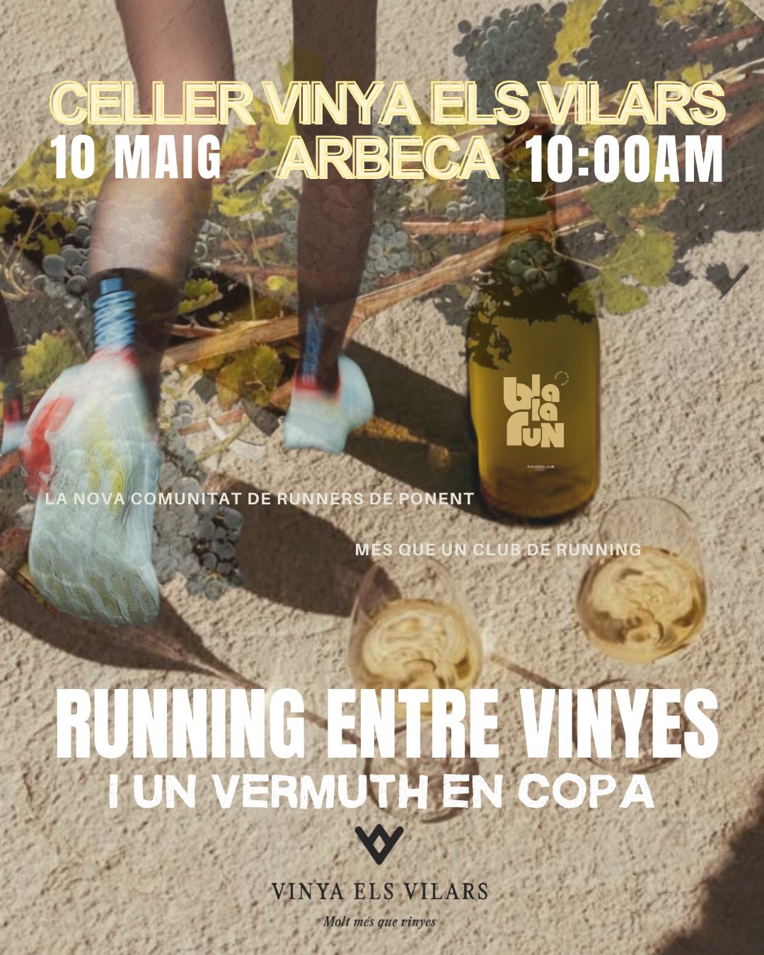 RUNNING ENTRE VINYES - BlablaRun x VinyesElsVilars