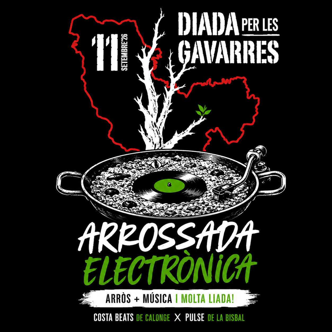 ARROSSADA ELECTRÒNICA · LA LIADA PER LES GAVARRES