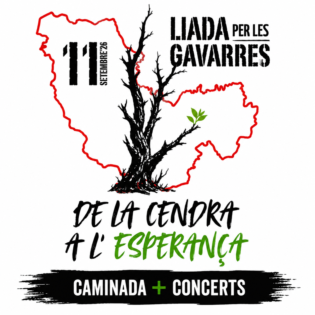 LA LIADA PER LES GAVARRES: CAMINADA + CONCERTS